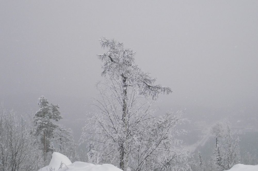 Photo #7225435