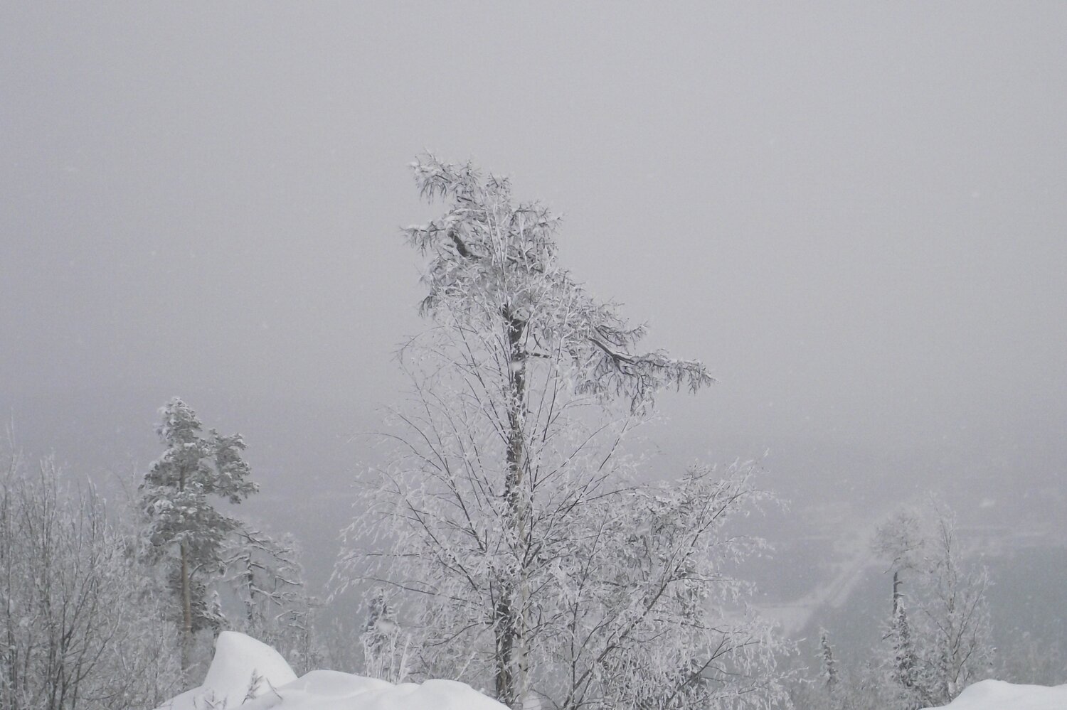 Photo #7225435
