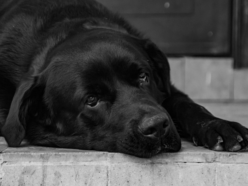 Фотография автора Александр Кадышев