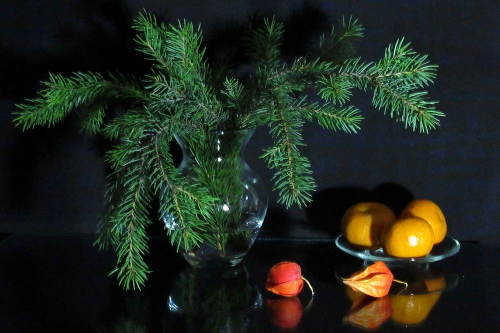 Натюрморт с еловыми ветками