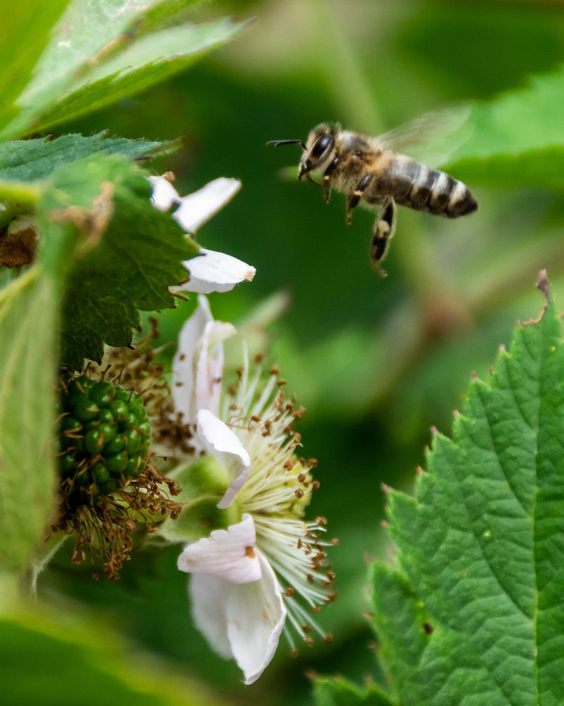 Фотография автора Александр Кадышев