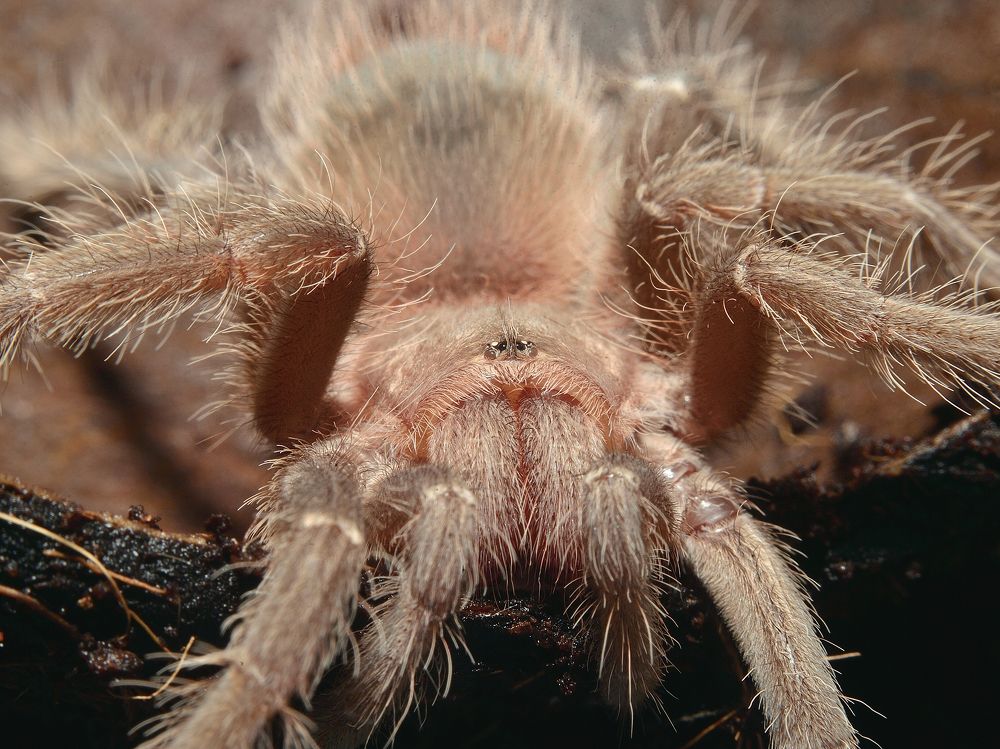 Photograph by Полина Разумова