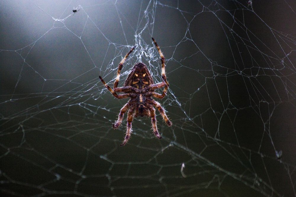 Photograph by Rustam Huseynov