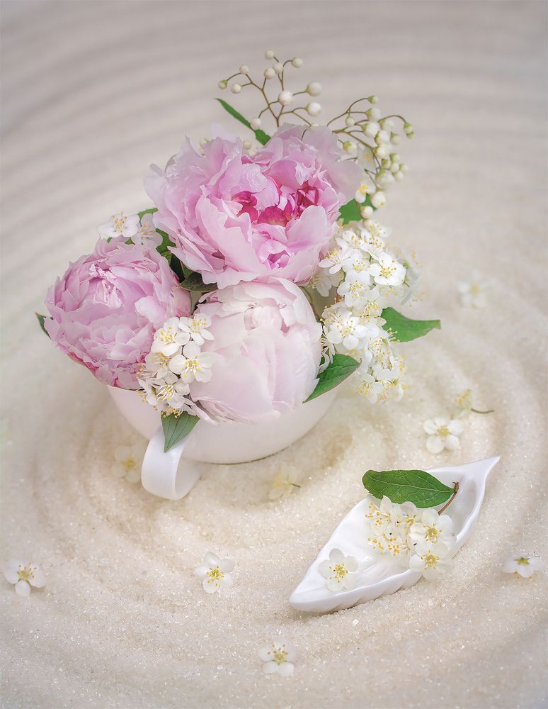 Фотография автора Анна Олещук