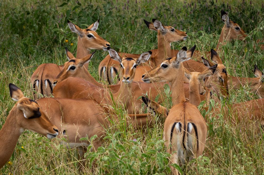 Photograph by Evgeny S