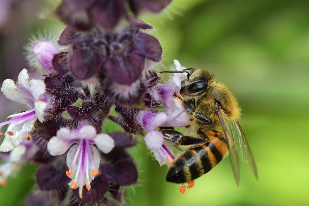 Photograph by Moura Denis