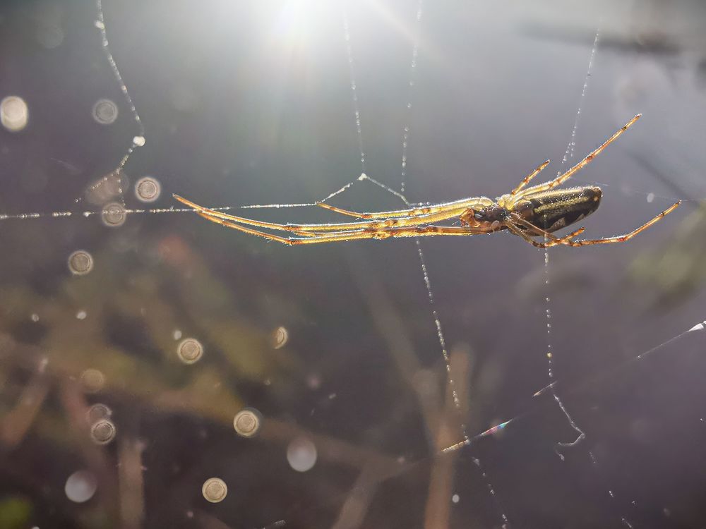 Photograph by Юлия Иванова