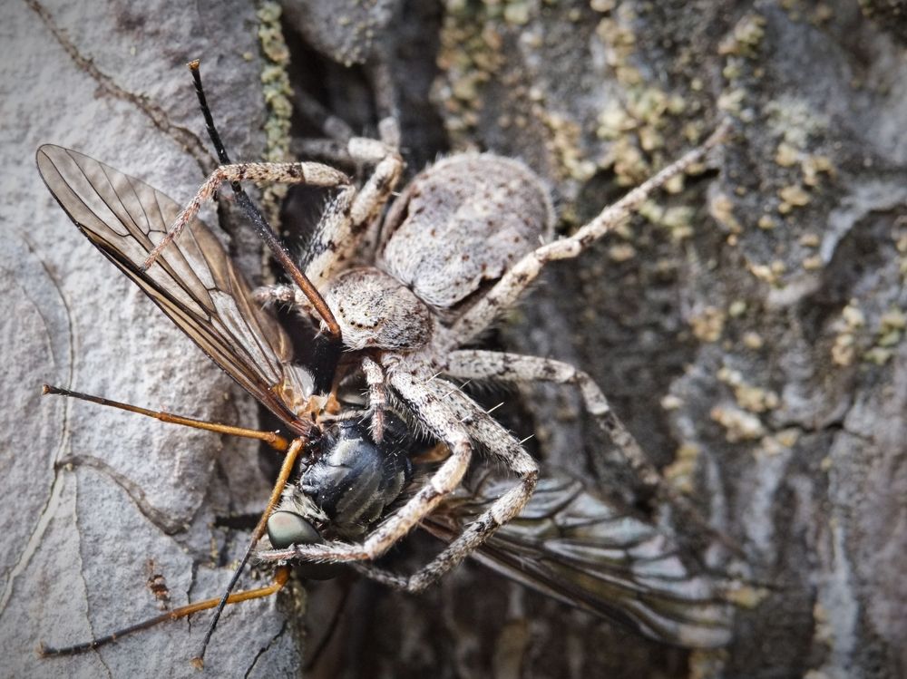 Photograph by Юлия Иванова