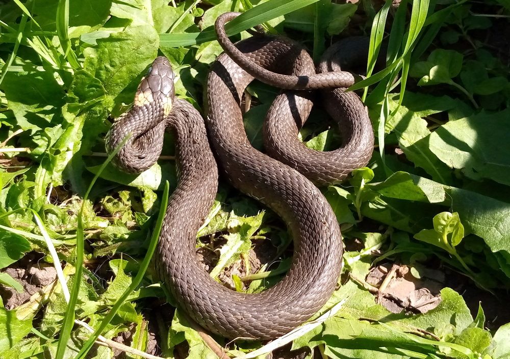 Photograph by Глеб Кузьминых