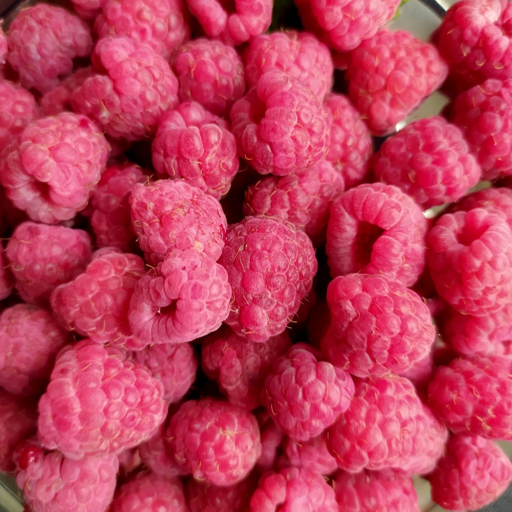 Photograph by Светлана Семенова