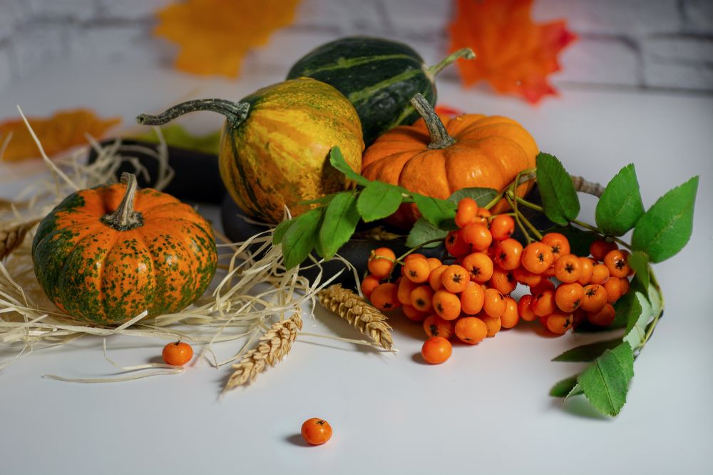Дары осени