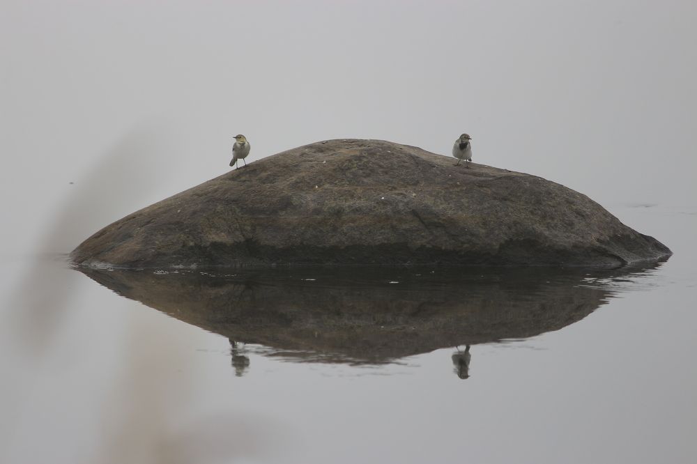 Фотография автора Александр Довганюк