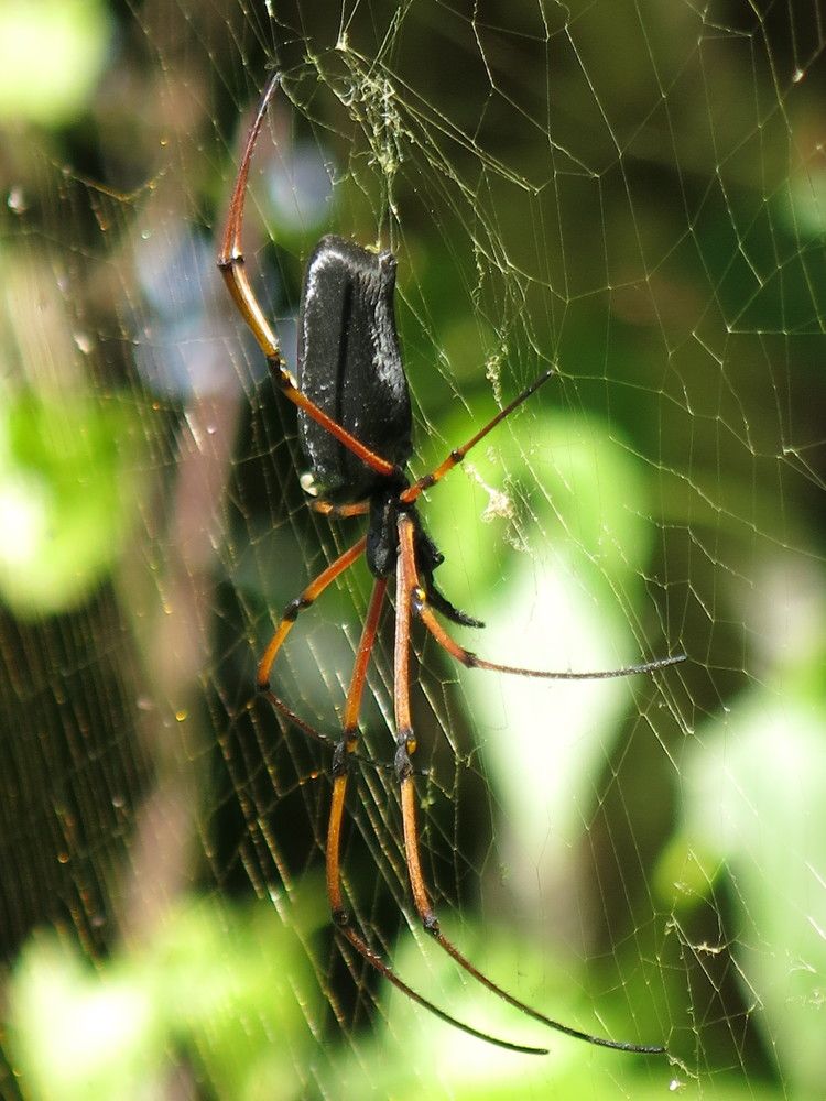 Photograph by Tempa Wangdi