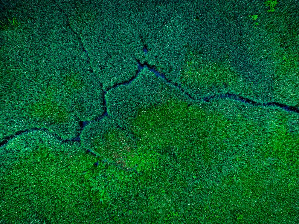 Photograph by Дмитрий Котов