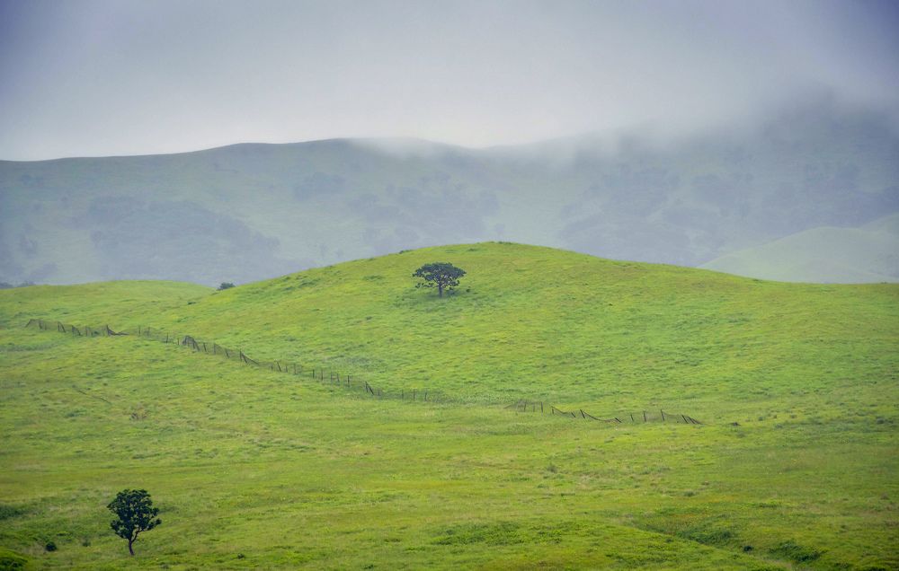 Photograph by Олег Волков