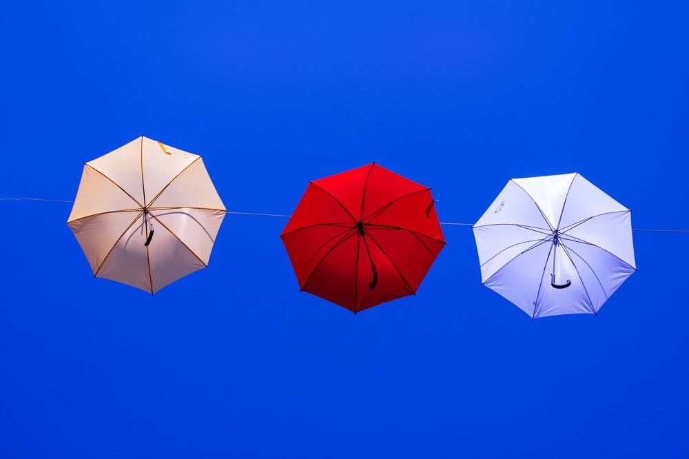 Photograph by Mike Sappojnikoff