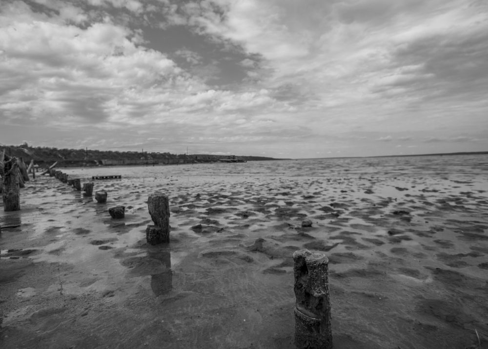 Photograph by Регина Орехова