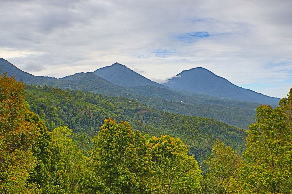 Photograph by Komang Mariono