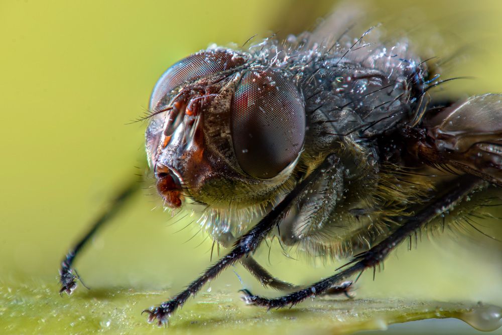 Photograph by Антон Бойков