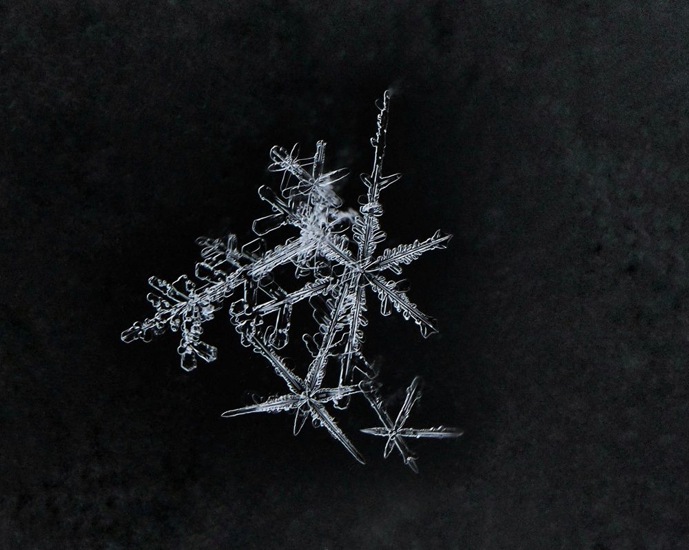 Photograph by Ирина