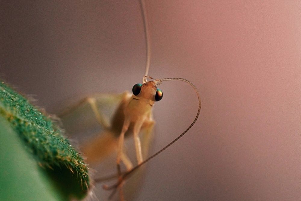 Photograph by Ирина