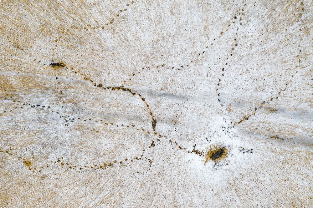 Photograph by Александр Абросимов