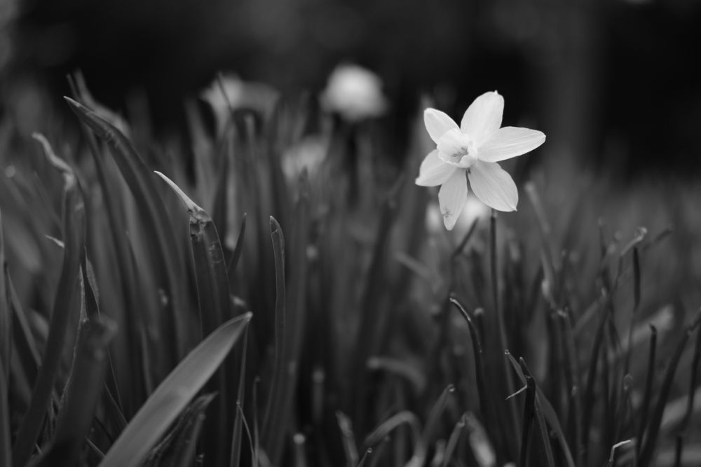 Photograph by Robert Chiorbeja