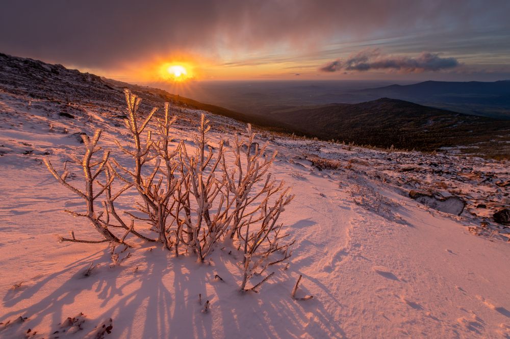 Photograph by Евгений Антонов