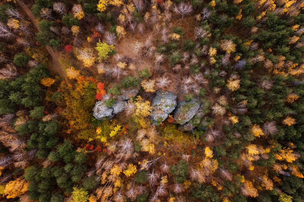 Photograph by Евгений Антонов