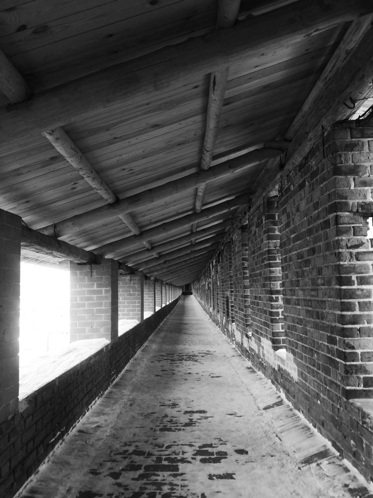 Photograph by Полина Зайцева