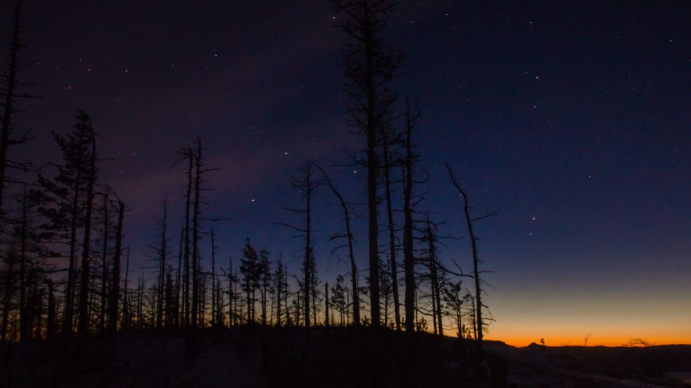 Photograph by Фадеев Андрей