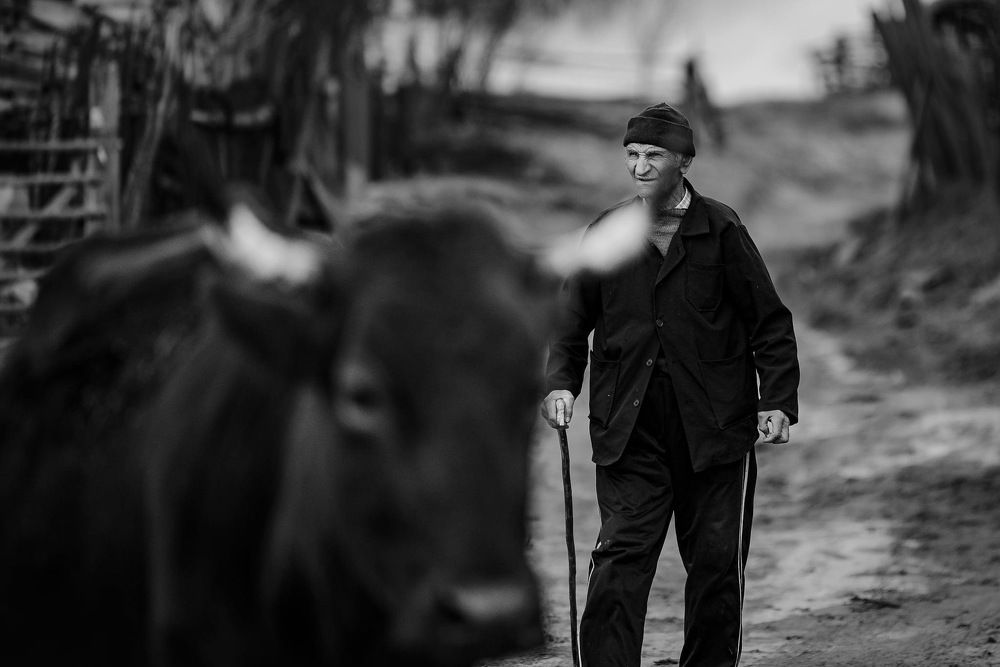 Photograph by Димитър Митрев