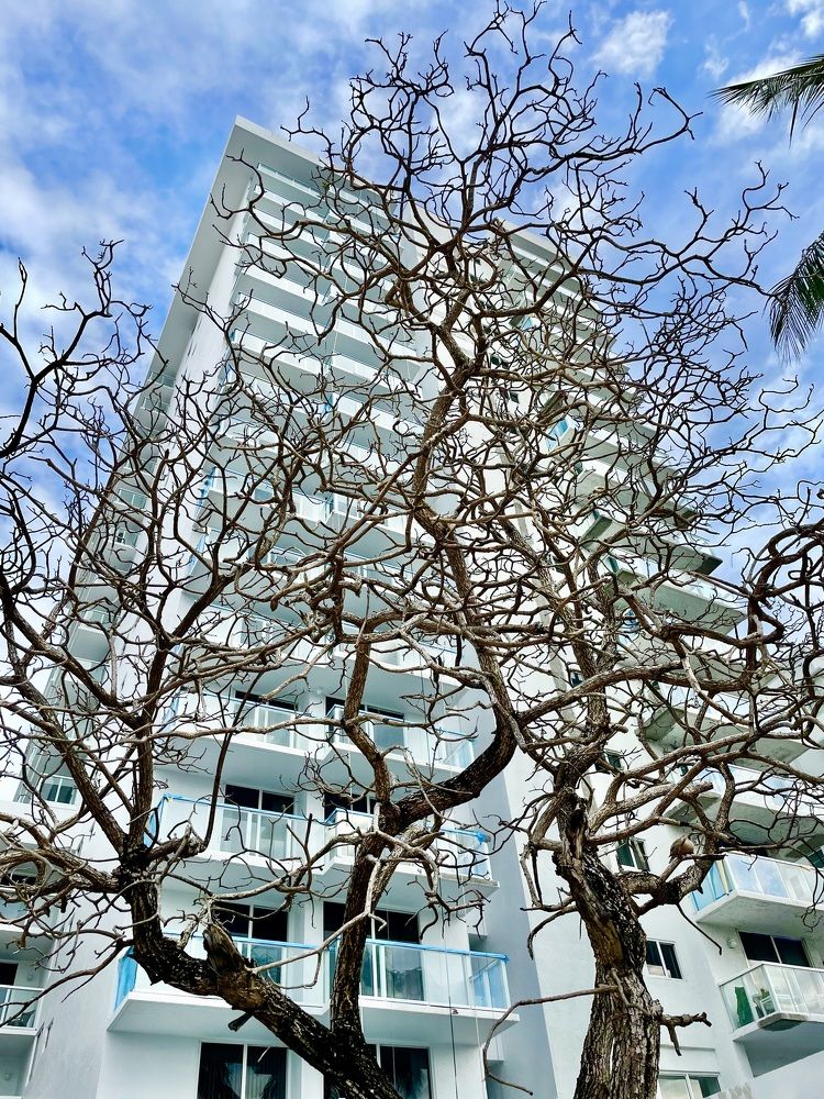 Photograph by Марат Сайфутдинов