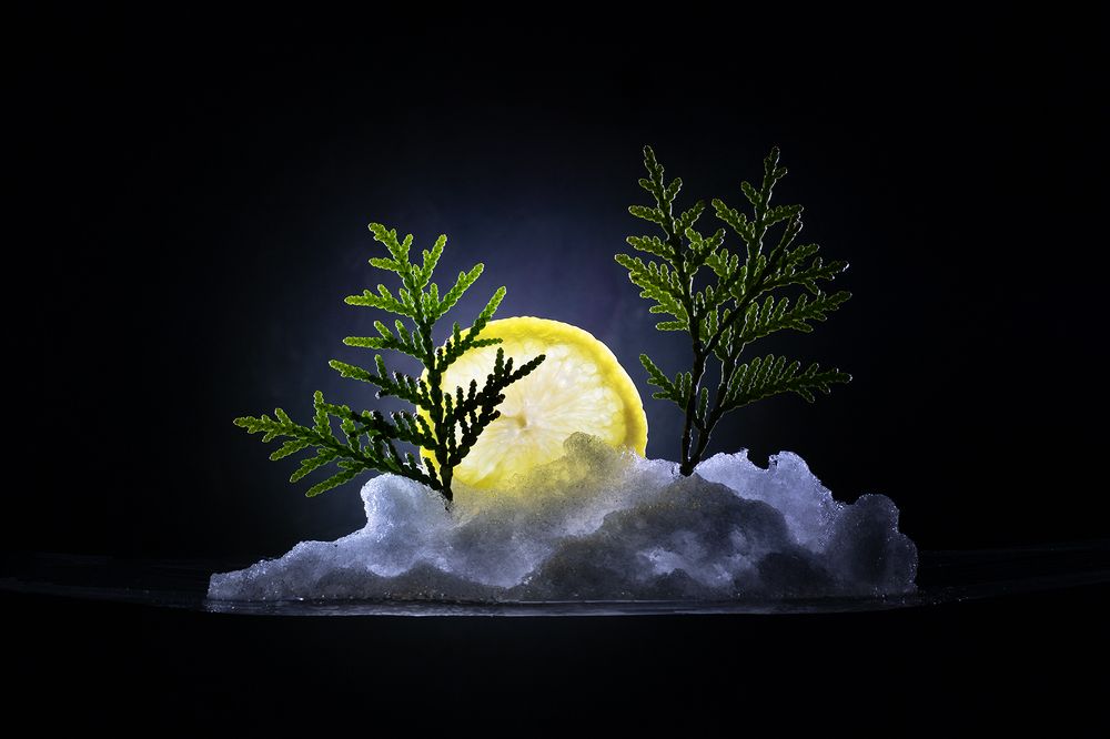 луна за лесом