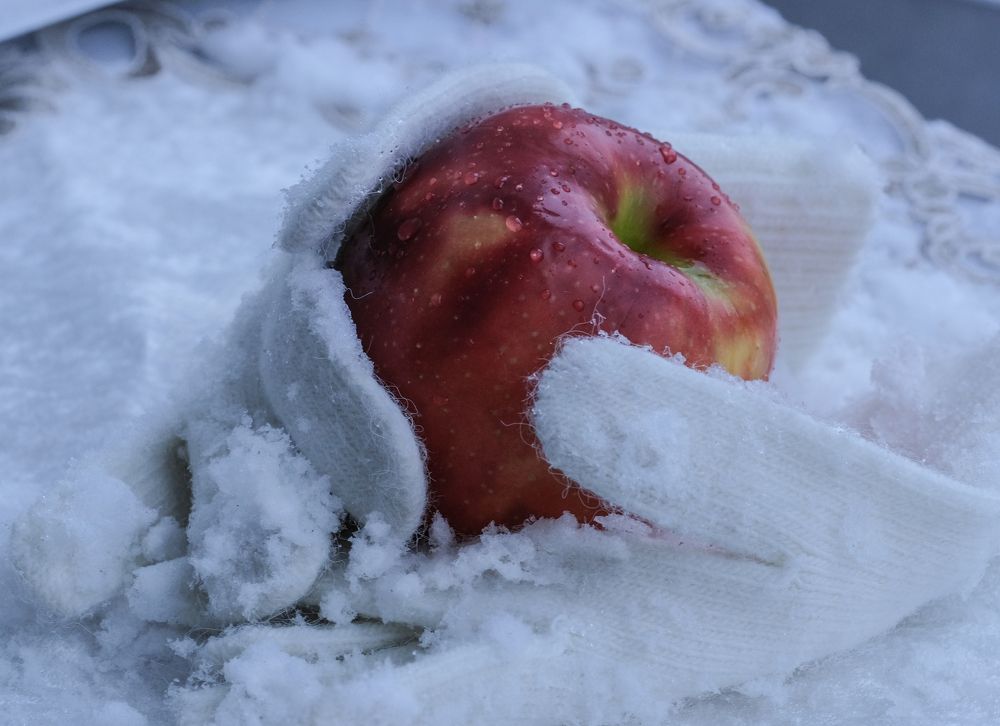 Фотография автора Елена