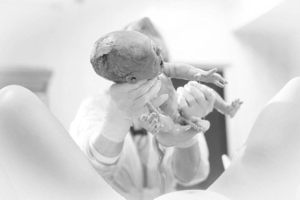 Photograph by Ерохина Светлана Юрьевна