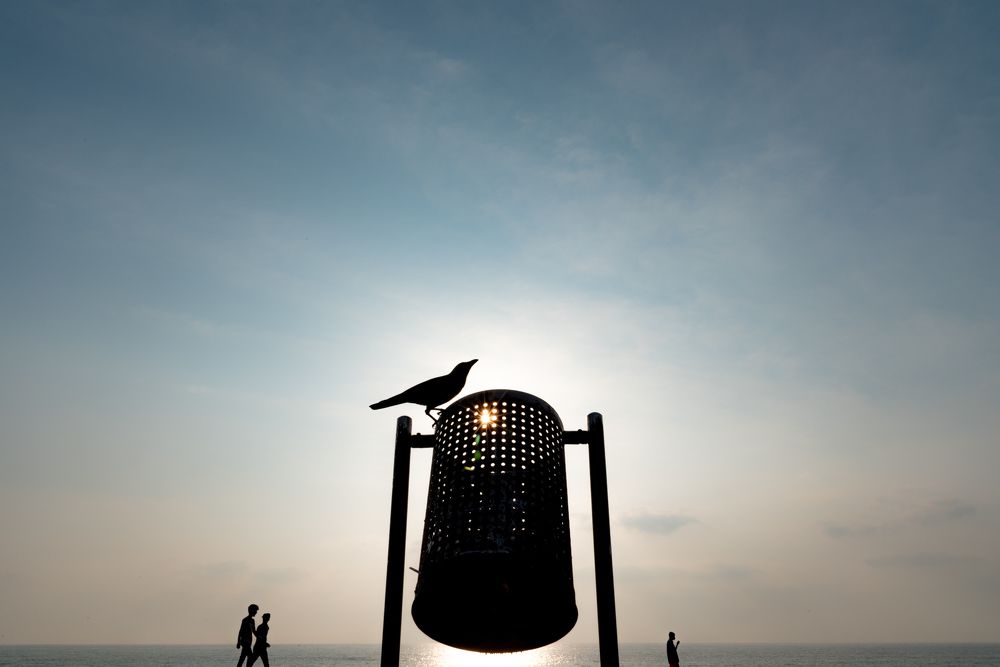 Photograph by Chetan Verma