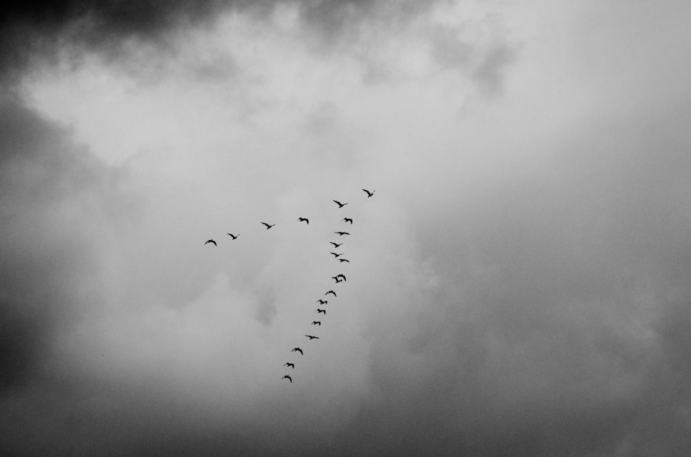 Photograph by Анастасия Кашенко