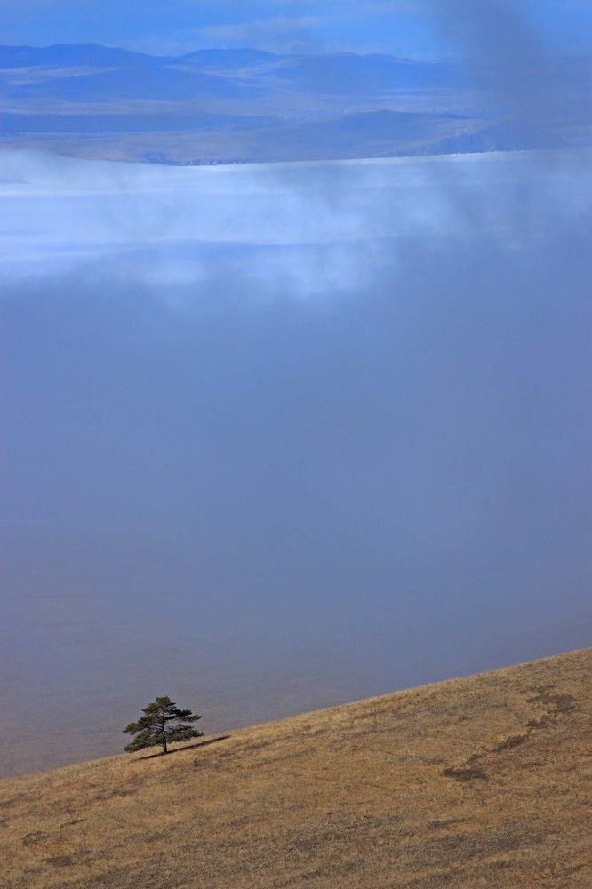 Фотография автора Александр Довганюк