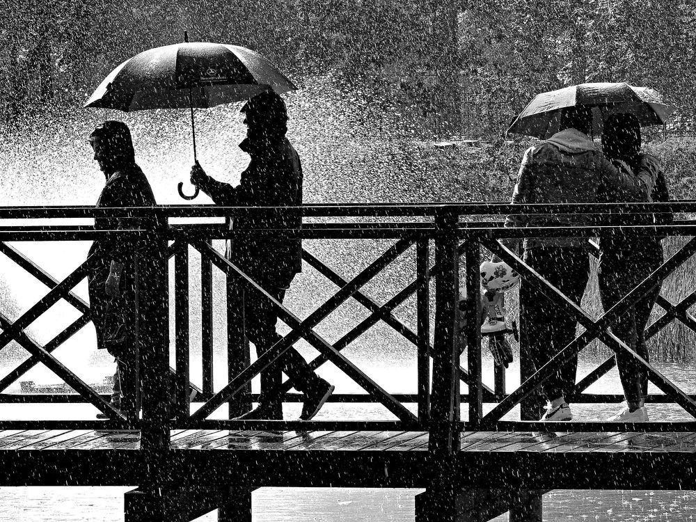 Photograph by Joanna Banaszewska