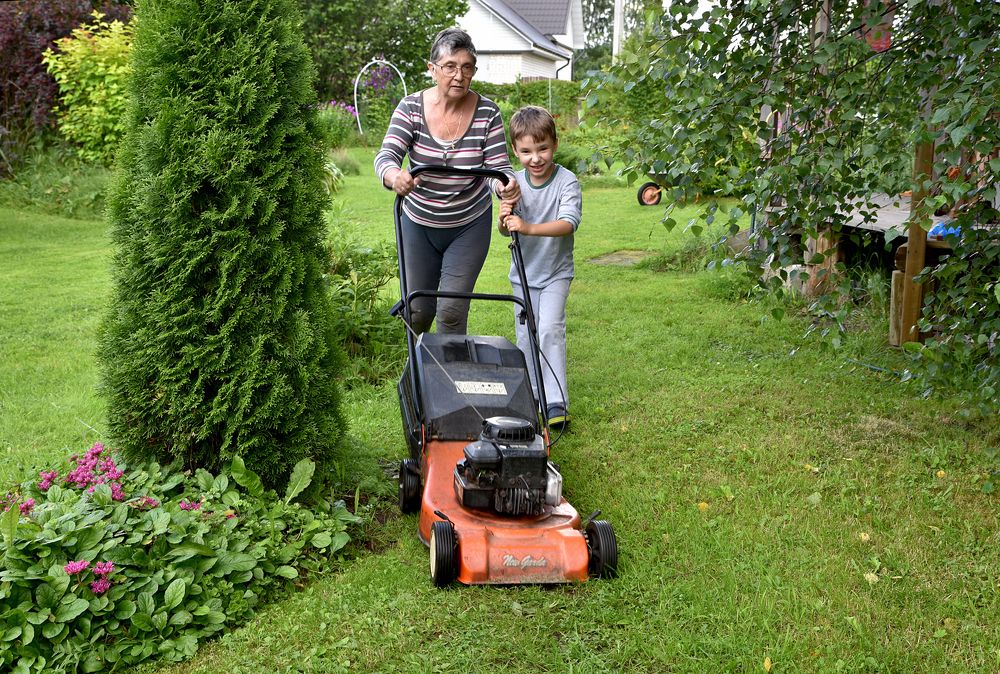 Каникулы у бабушки на даче