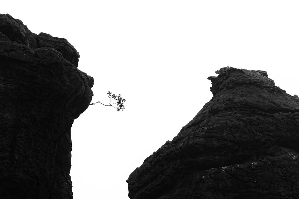 Photograph by Ivanka Iantcheva