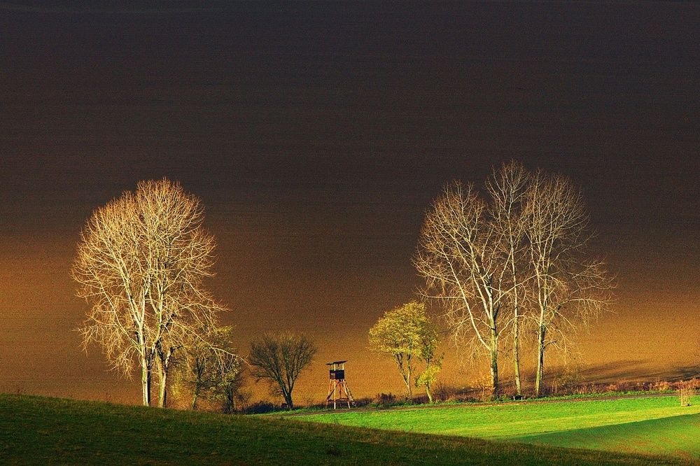 Photograph by Peter Matejcek