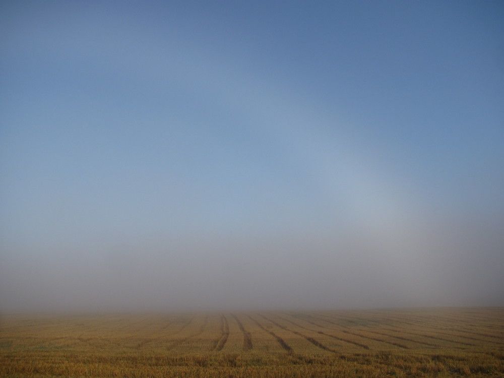 Photograph by Петр Нефедьев