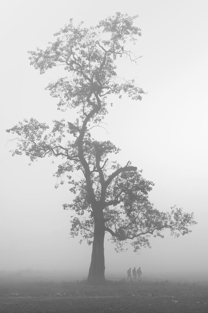 Photograph by Somnath Mullick