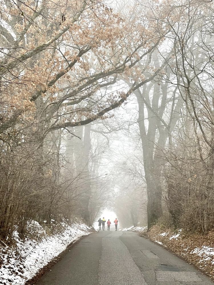 Photograph by Жанна Полуянова