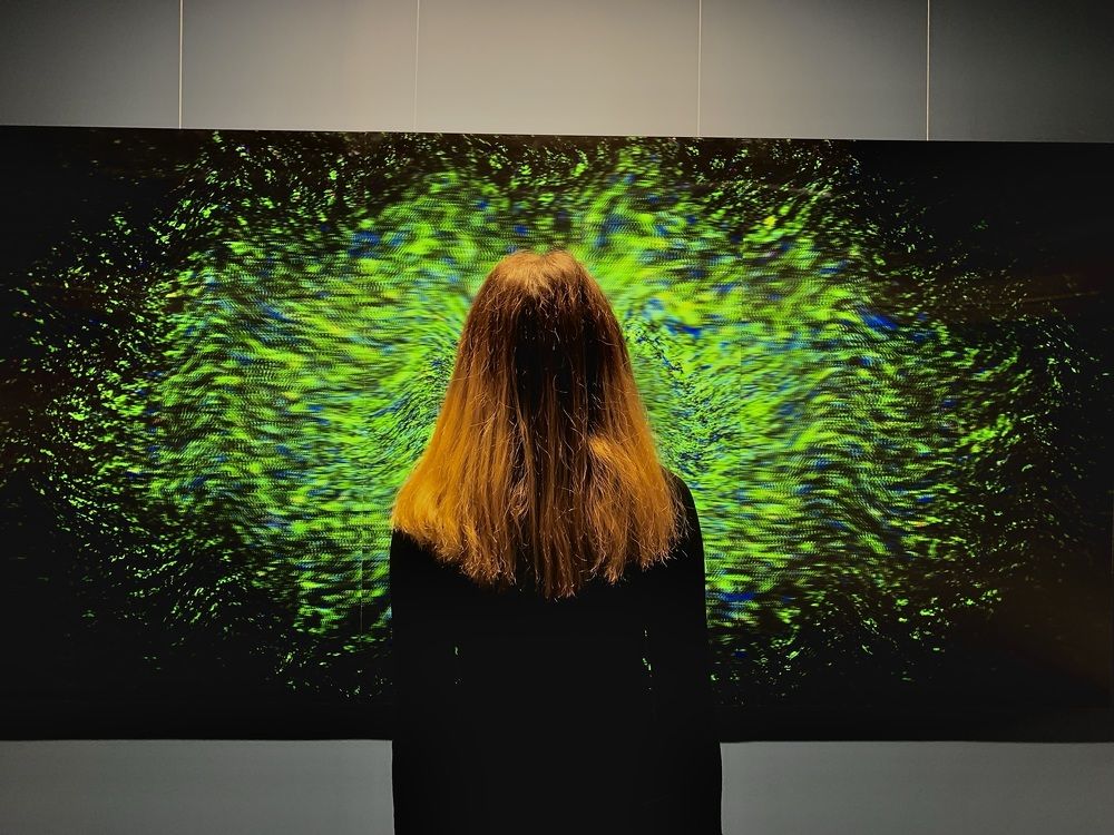 Photograph by Никита Манакин