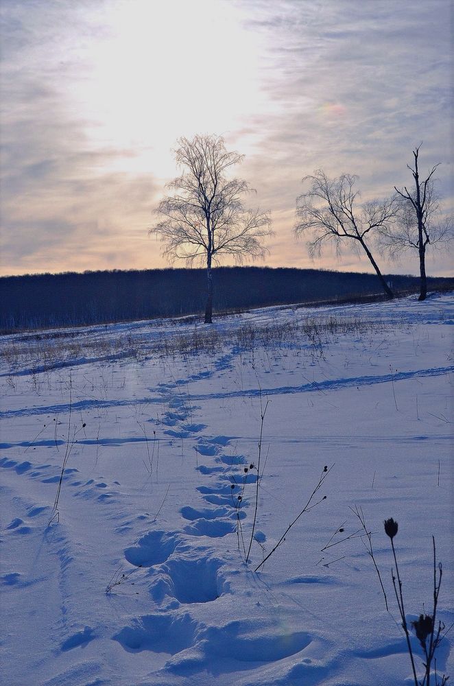 Photograph by Наталья Иванова