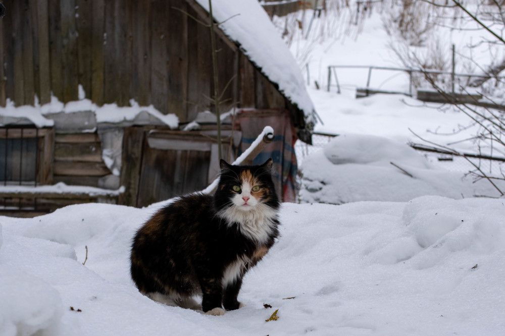 Photograph by Nora Cheprasova