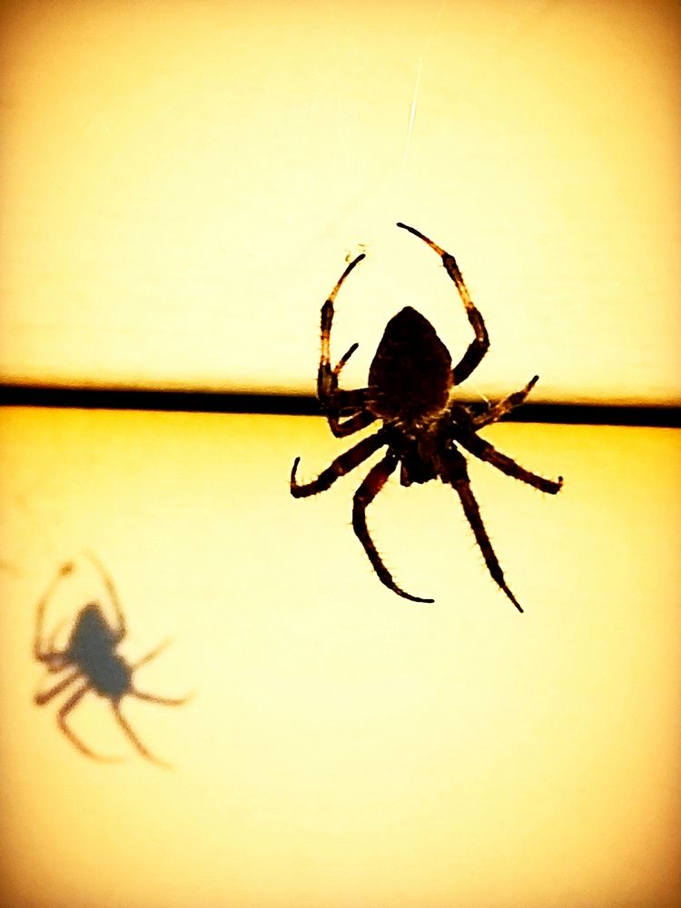 Photograph by Nikki May